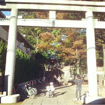 「北沢八幡神社」