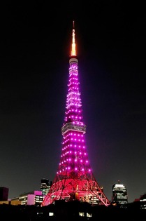 東京タワー ピンクリボン