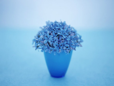 デートの前にこっそり試したい　香水の付け方【基礎編】