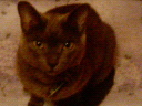 d57a77d9.jpg