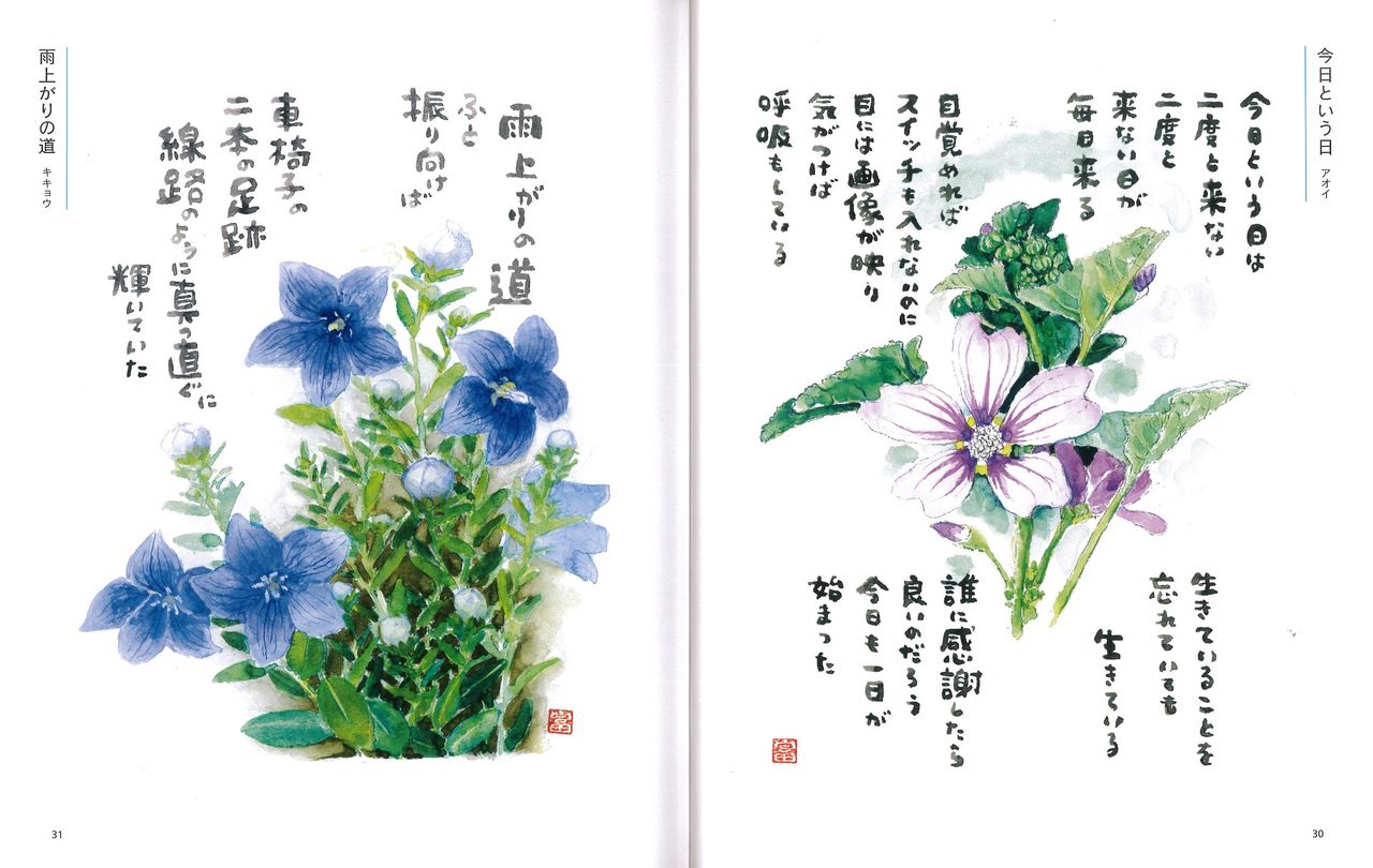 星野富弘 花の詩画集 病気になり難い体質づくりのヨーガ塾 主宰 渡邊雅春