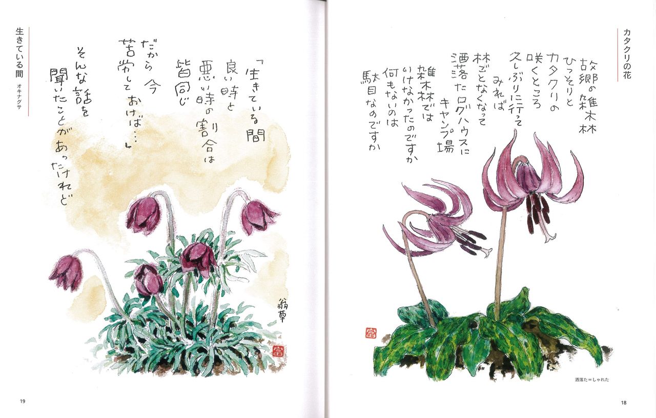 花の詩画集 星野富弘 懐かしの写真館 渡邊雅春