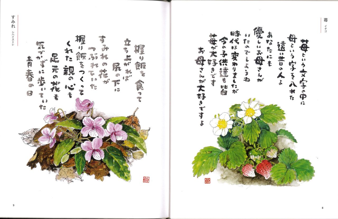 花の詩画集 星野富弘 懐かしの写真館 渡邊雅春 花の詩画集 星野富弘 懐かしの写真館 渡邊雅春