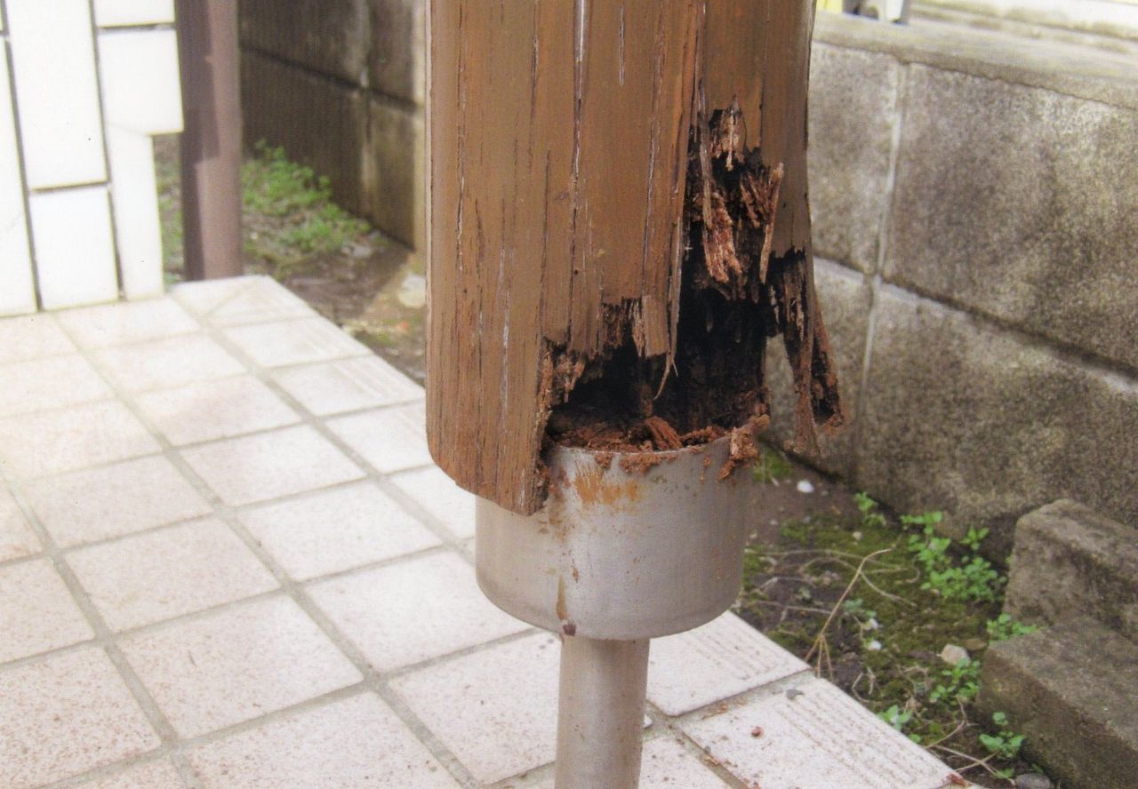 リフォーム工事埼玉県 川越市 玄関回り化粧柱取り換え Cosmospeintのブログ リフォーム工事埼玉県 川越市 玄関回り化粧柱取り換え Cosmospeintのブログ