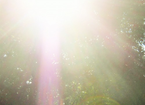 b08337aeb3967d11c6a957b73efa1835_s