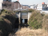 3aa59dd5.JPG