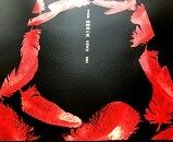 本革金箔装 姑獲鳥の夏