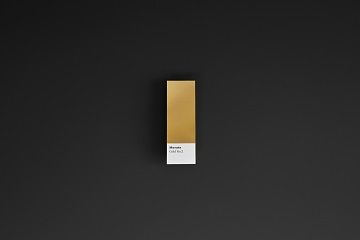 Foil Chips - 08