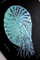 W����ܥ��ù�