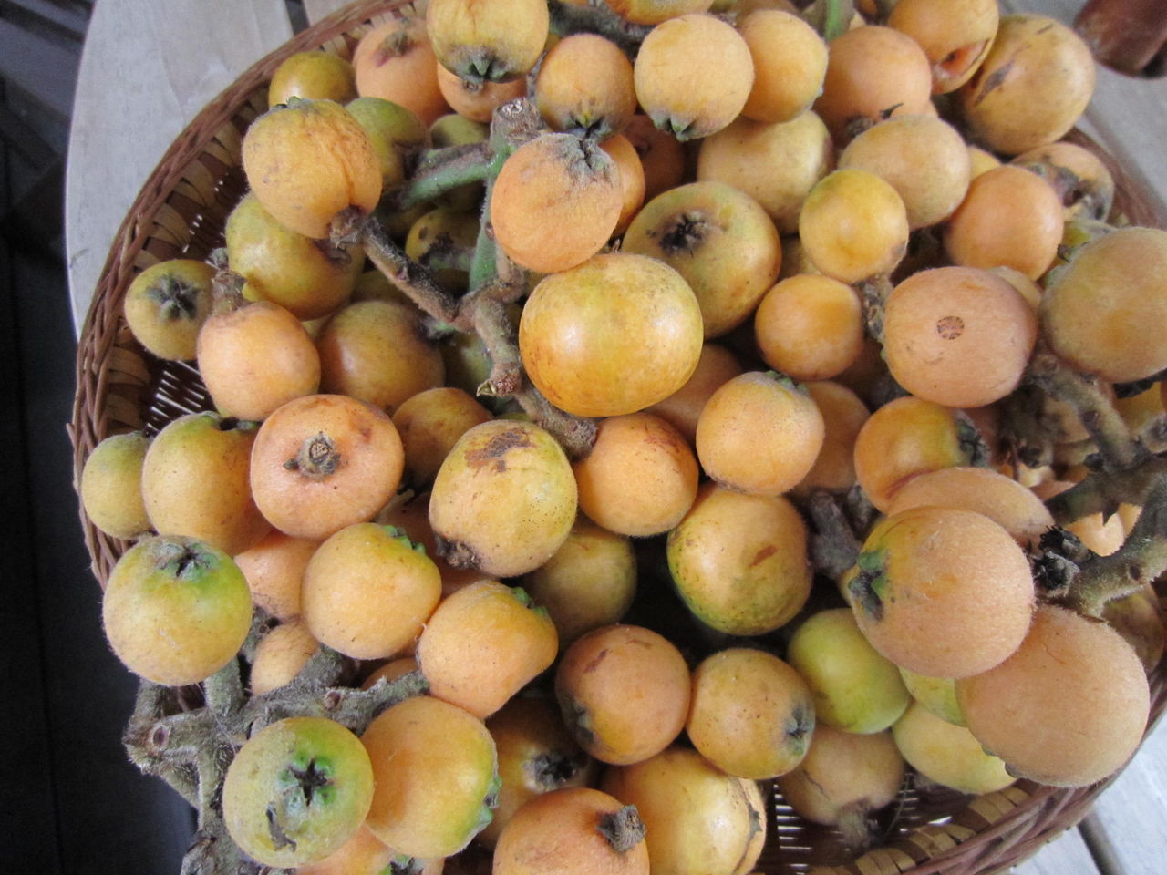 野生のビワで作るびわ酒 香川深雪の悠游自適