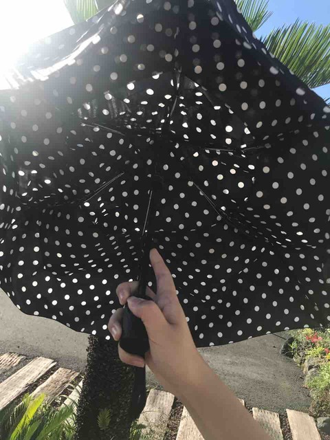 日本製 2ウェイ shedrain 自動開閉傘 充電式 | dizmekaro.com