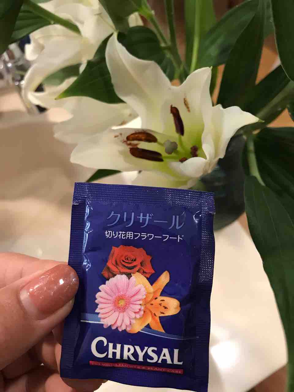 コストコはお花もおすすめです Costco生活 コストコおすすめ商品 活用術 Powered By ライブドアブログ