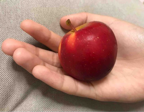FullSizeRender