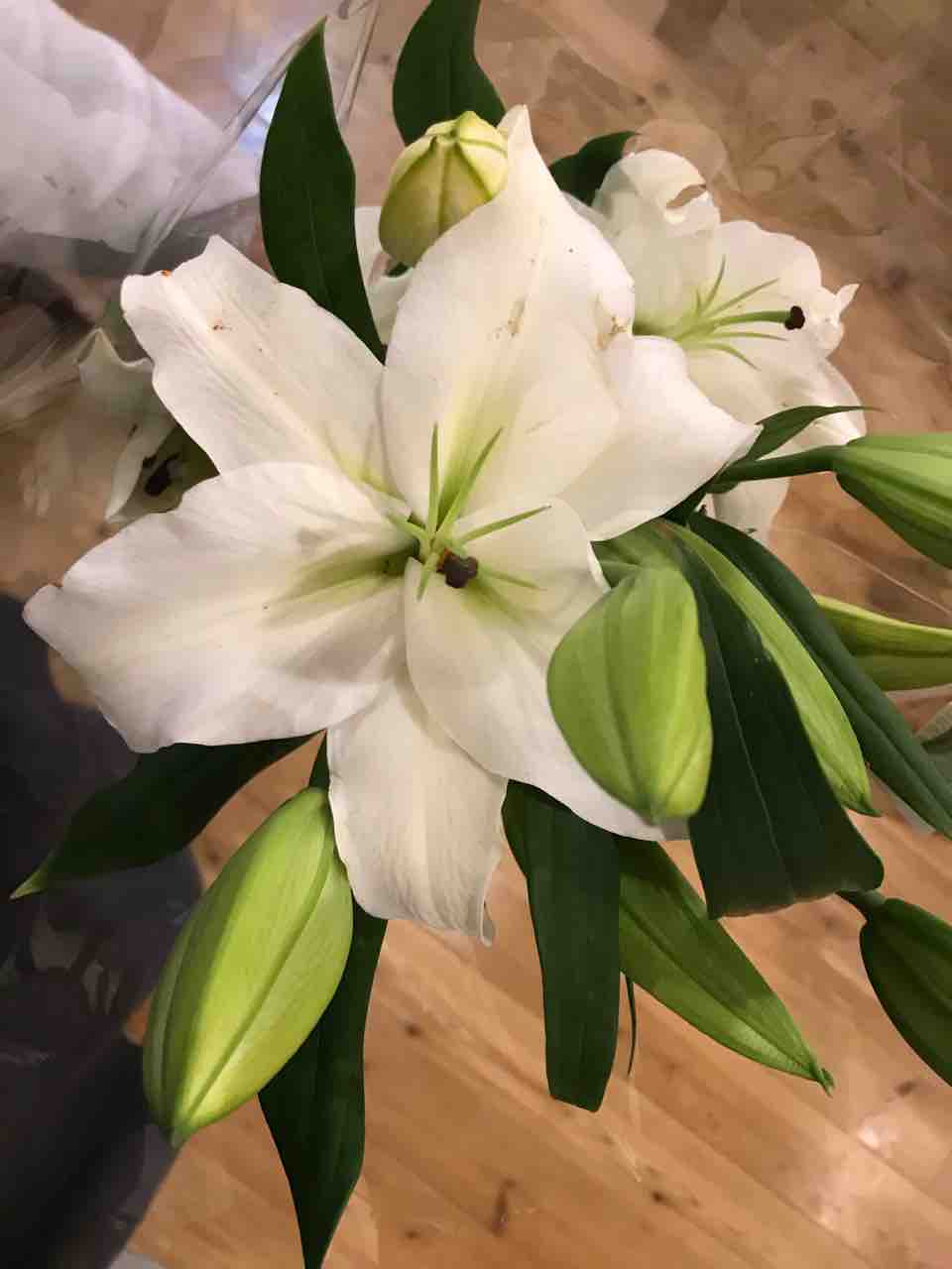 コストコはお花もおすすめです Costco生活 コストコおすすめ商品 活用術 Powered By ライブドアブログ