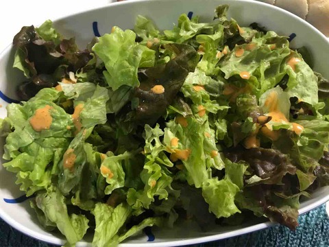 FullSizeRender
