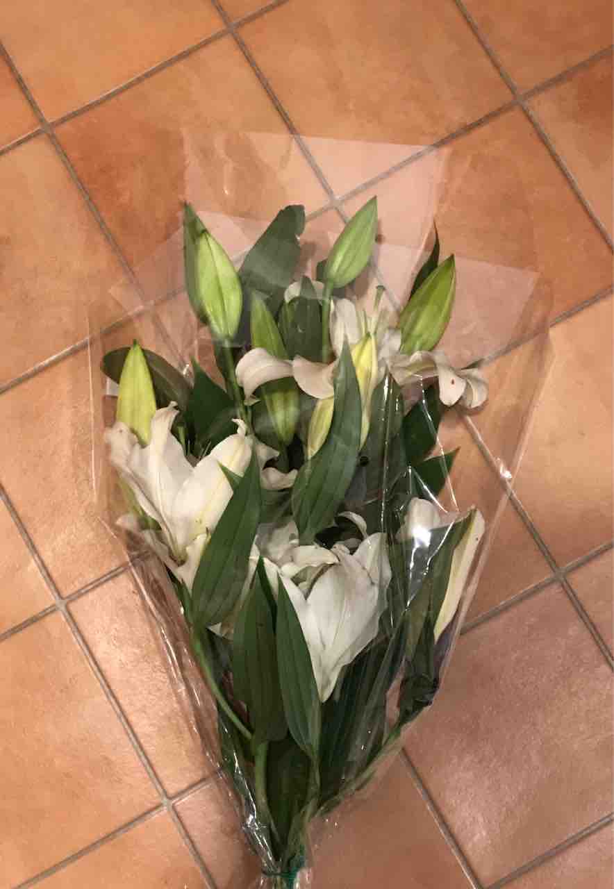 コストコはお花もおすすめです Costco生活 コストコおすすめ商品 活用術 Powered By ライブドアブログ