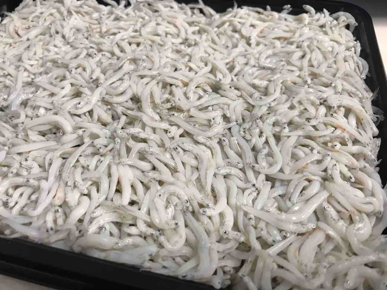 コストコの無凍結釜揚げしらすは茹でたてでふっくら美味しい Costco生活 コストコおすすめ商品 活用術 Powered By ライブドアブログ