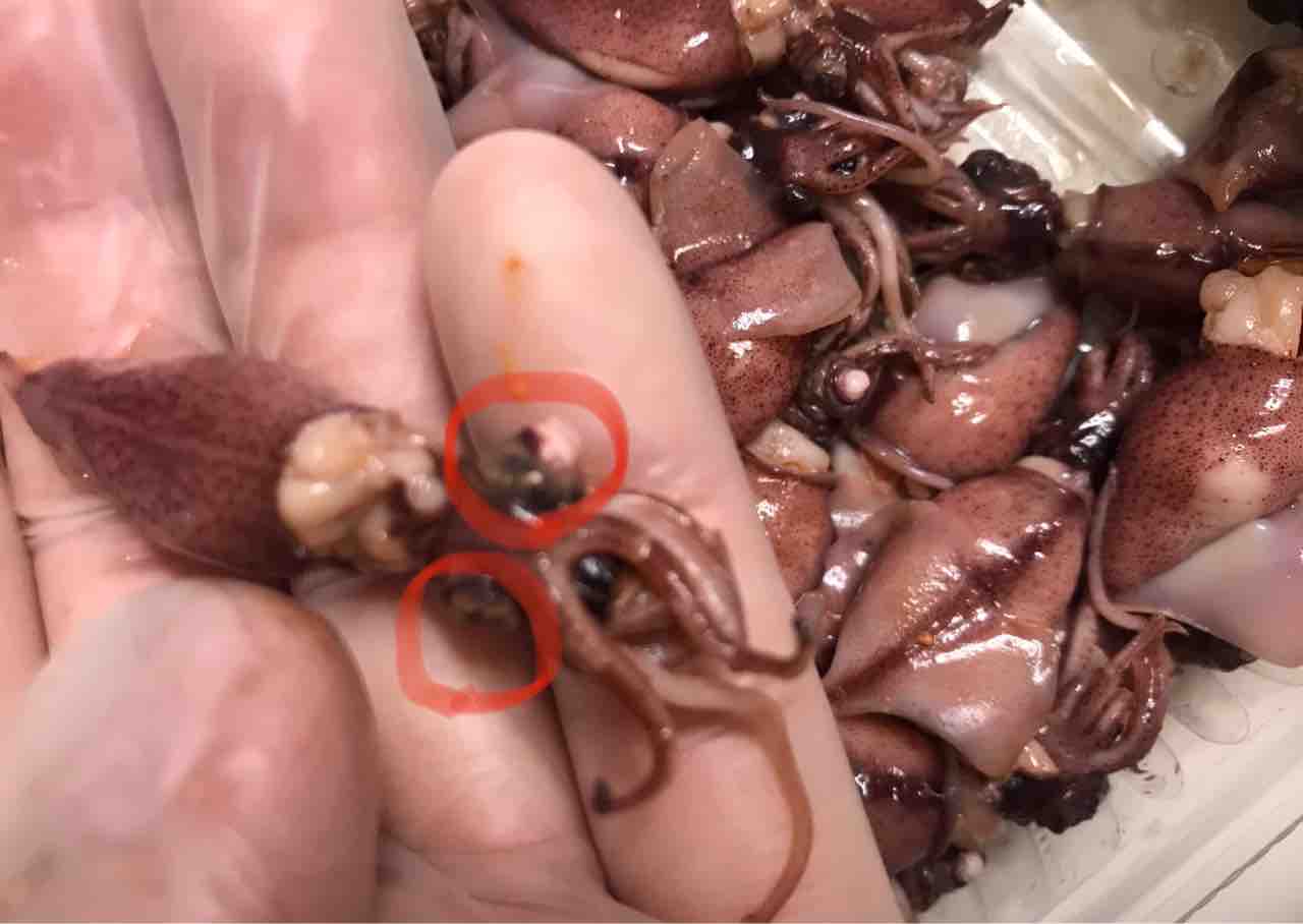 コストコで買ってよかった 旬を味わえる富山県産ボイルほたるいか Costco生活 コストコおすすめ商品 活用術 Powered By ライブドアブログ コストコで買ってよかった 旬を味わえる富山県産ボイルほたるいか Costco生活 コストコおすすめ商品 活用術 Powered By ライブドアブログ