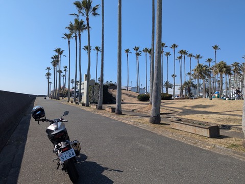 PXL_20260215_024823654