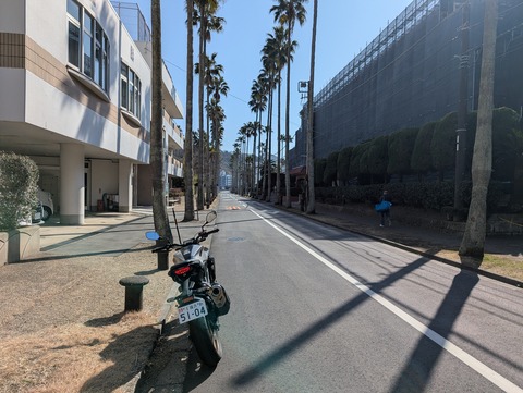 PXL_20260215_024601389