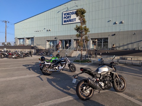 PXL_20260215_071049145