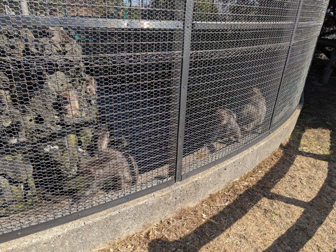 PXL_20260215_030922881