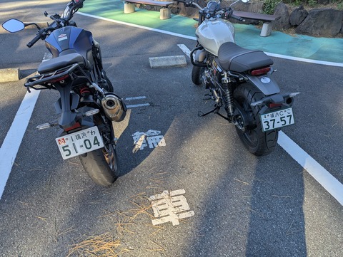 PXL_20260111_055221648