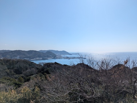 PXL_20260215_031610553