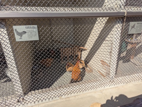 PXL_20260215_031802806