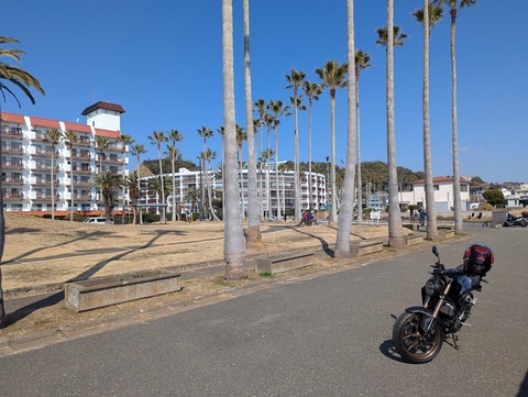 PXL_20260215_024808053