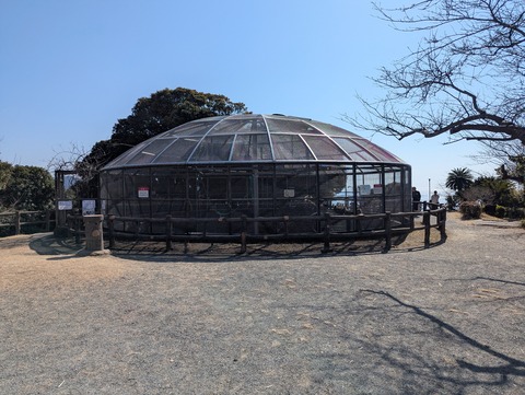 PXL_20260215_030900664