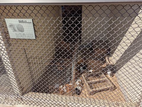 PXL_20260215_031823768