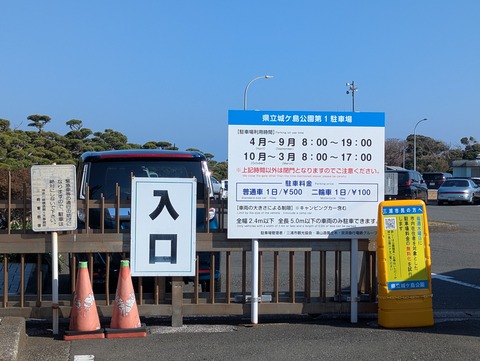 PXL_20260215_052017408