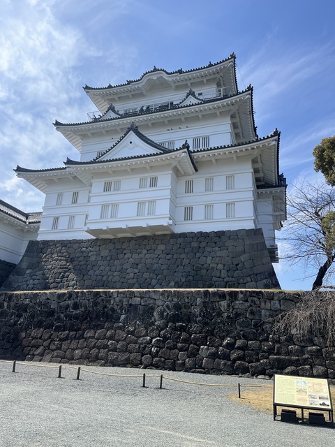 写真 2024-03-14 12 21 36