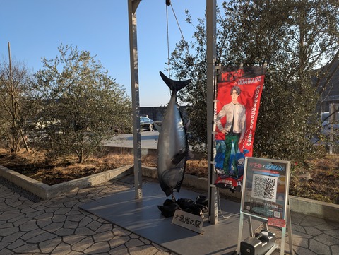 PXL_20260213_071348547