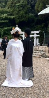 白むく