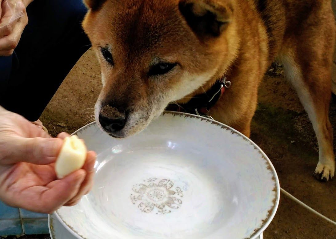 イメージ 6