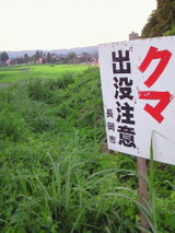 ���޽�������