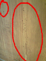 BlogPaint