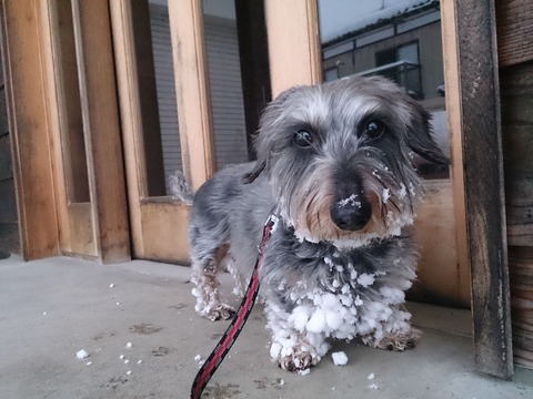 �����������