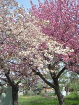 Ȭ�ź�����