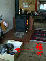 BlogPaint