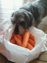 �㲼�ͻ��Ϥ�