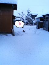 BlogPaint