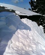 自然落雪