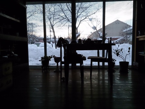 ͼÊý£µ»þ¡Ê£±·î£±£µÆü¡Ë