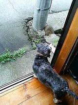 お見送り