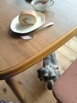 �������륱������