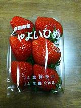 ��褤�Ҥ�