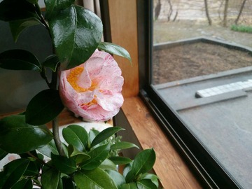 ºé¤¤¤¿¡Á¡ª